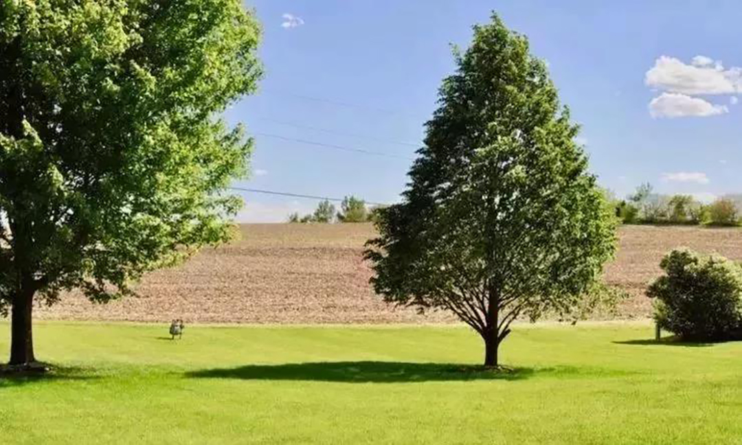 植樹節(jié)|守護(hù)綠色家園的秘密武器！