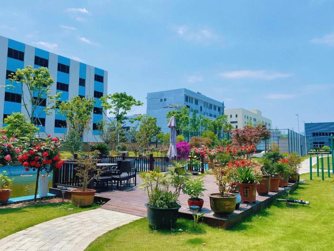 風(fēng)景這邊獨(dú)好！東大環(huán)境美景一覽，請(qǐng)查收