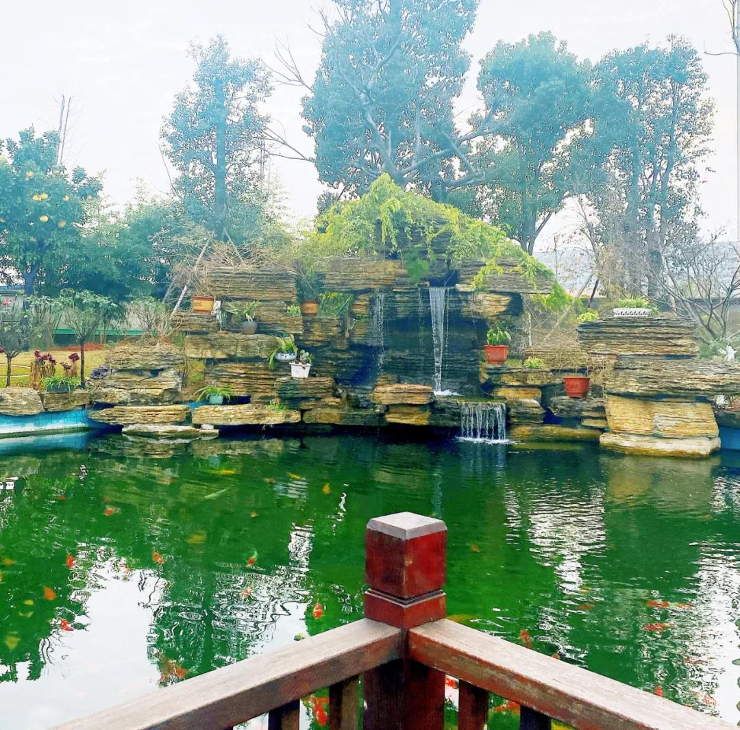 風(fēng)景這邊獨(dú)好！東大環(huán)境美景一覽，請(qǐng)查收