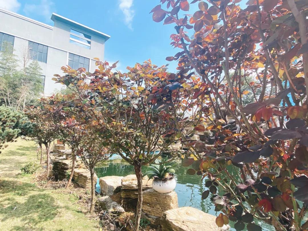 風(fēng)景這邊獨(dú)好！東大環(huán)境美景一覽，請(qǐng)查收