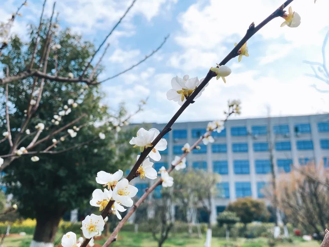 風(fēng)景這邊獨(dú)好！東大環(huán)境美景一覽，請(qǐng)查收