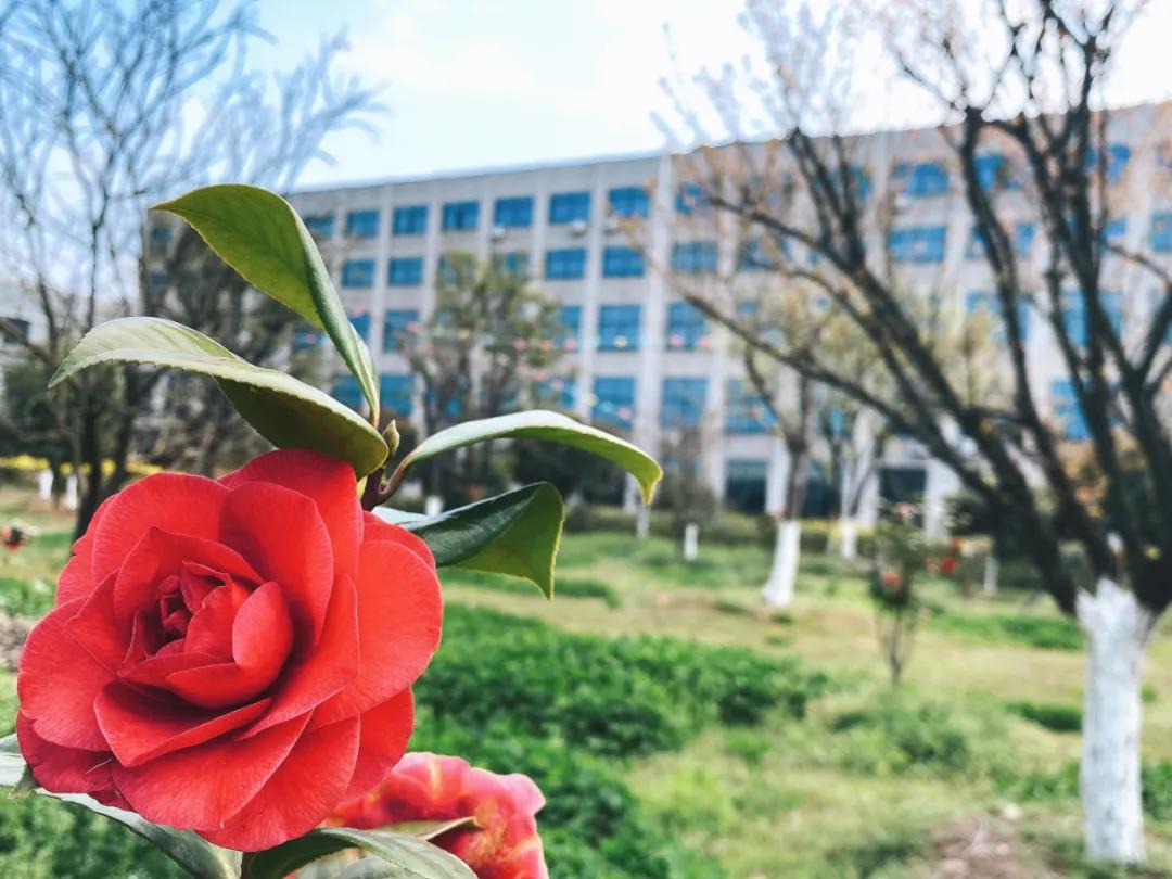 風(fēng)景這邊獨(dú)好！東大環(huán)境美景一覽，請(qǐng)查收